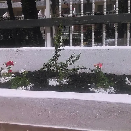 Villamar Estudio *